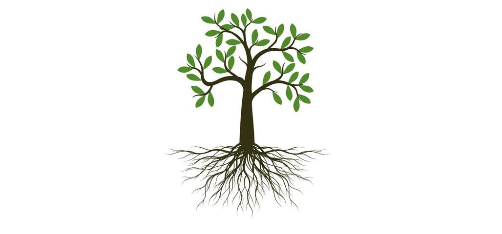 Ergebnis bis jetzt 34 Bäume - Bei jeder Bestellung von Holzspielzeug 5% Rabatt und einen kostenlos Baum pflanzen Code "5%+Baum"
