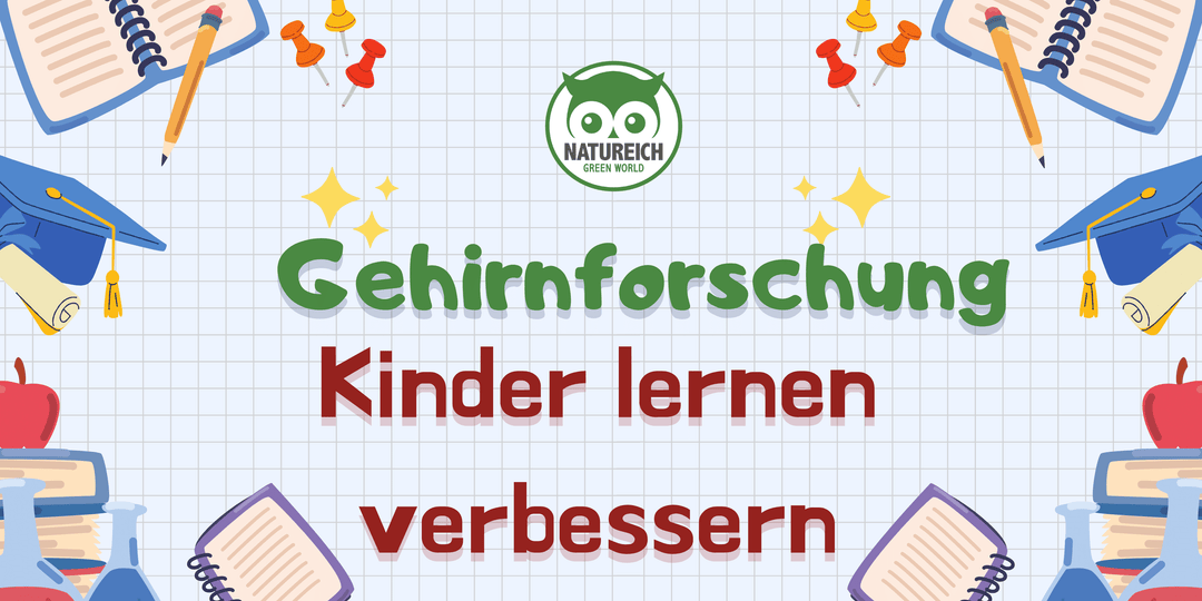 Wie die Gehirnforschung beweist, dass Holzspielzeuge das Lernen von Kindern verbessern