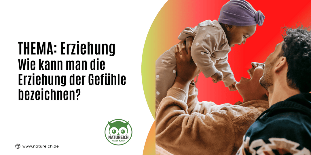 Wie kann man die Erziehung der Gefühle bezeichnen?