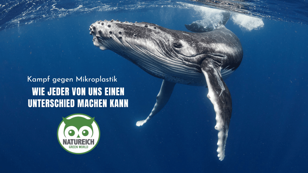 Die Macht des Einzelnen: Wie jeder von uns einen Unterschied im Kampf gegen Mikroplastik machen kann