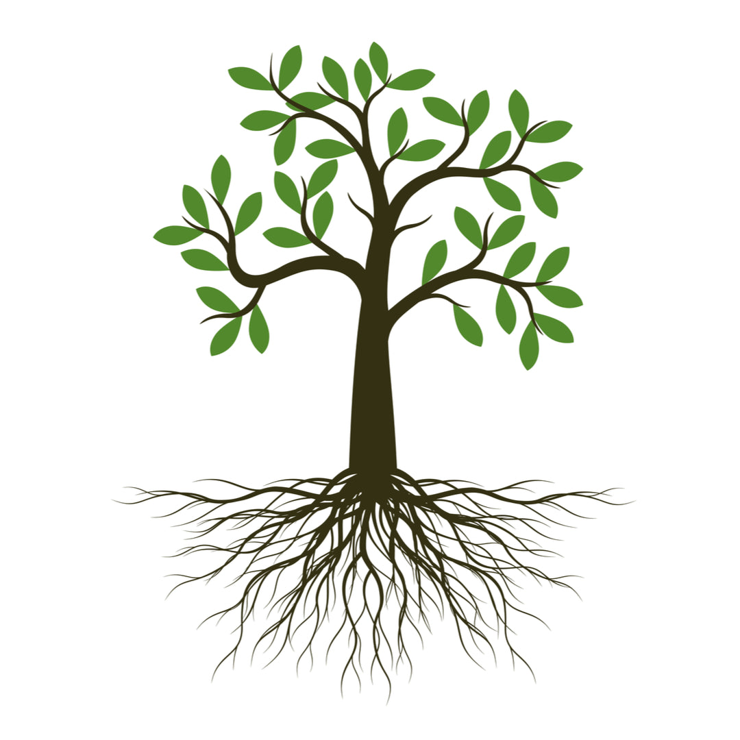 Ergebnis bis jetzt 53 Bäume - Bei jeder Bestellung von Holzspielzeug 5% Rabatt und einen kostenlos Baum pflanzen Code "5%+Baum"
