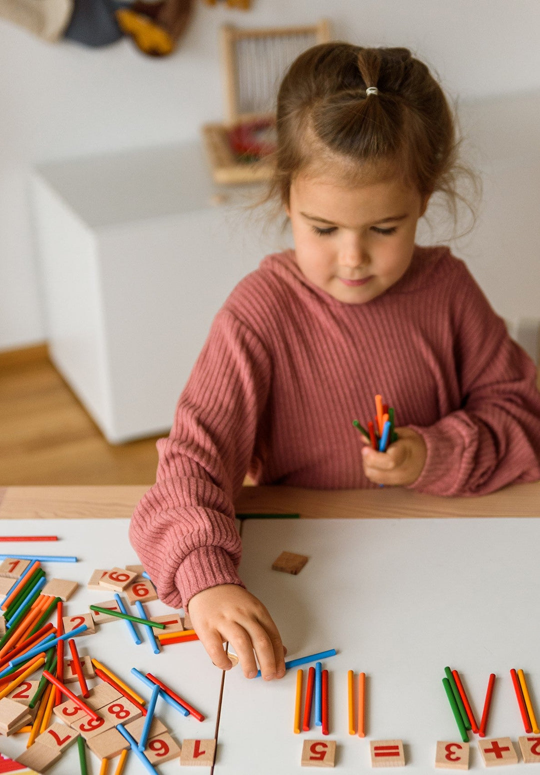 Natureich Montessori Mathe Spielzeug Holz mit Metallbox - Natureich