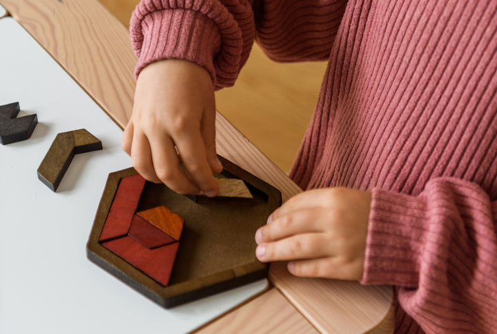 Natureich Rätsel Steckpuzzle mit geometrischen Formen - Natureich